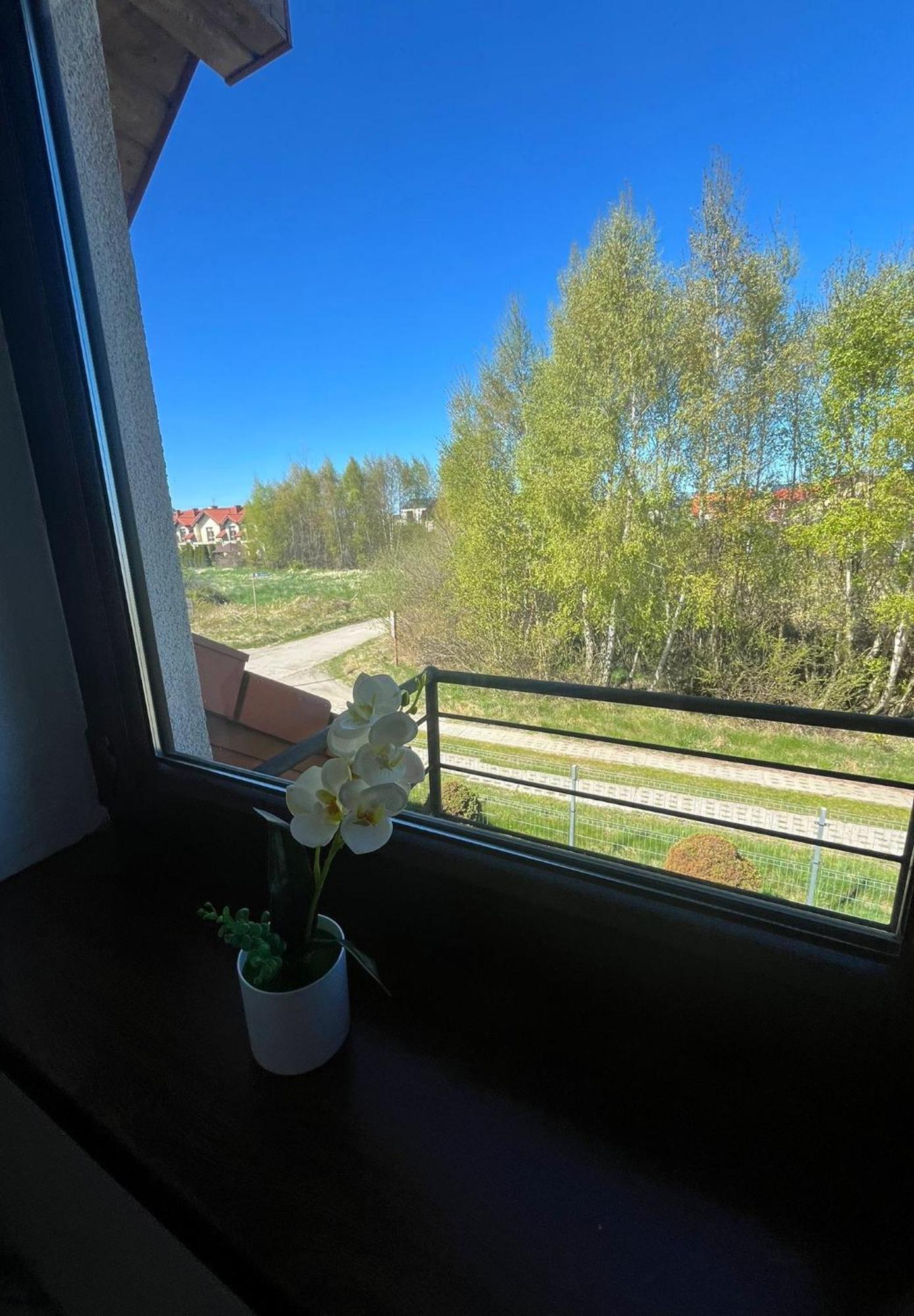 Apartamenty Adrenja Рови Екстер'єр фото